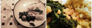 sydney's recipe
