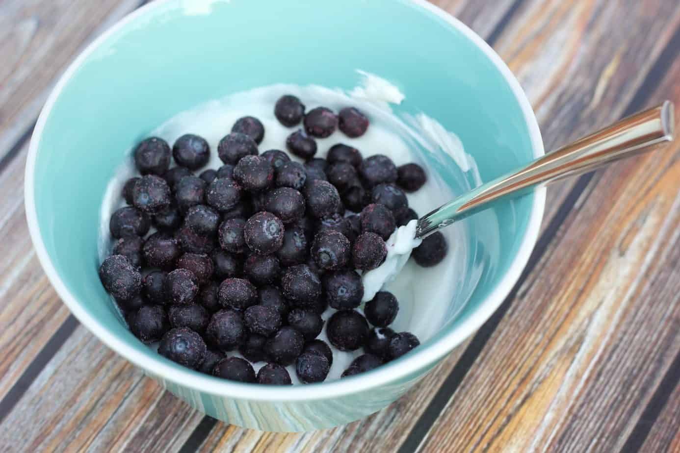 greek yogurt just blueberries