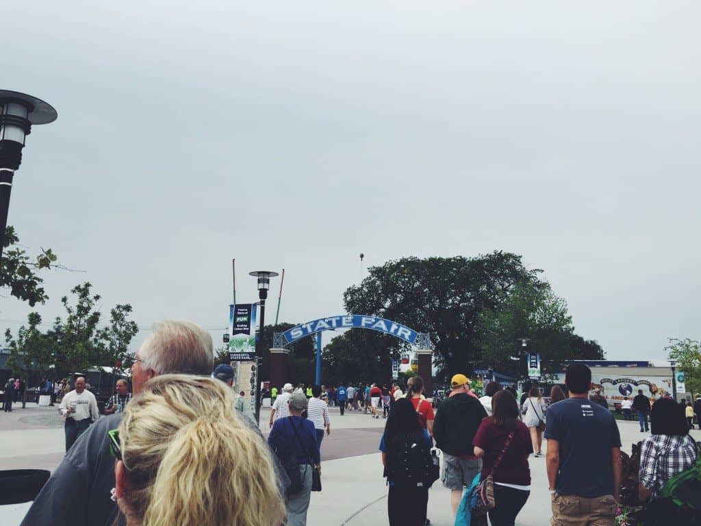 minnesota state fair