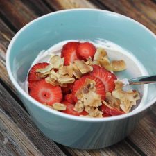 yogurt and granola