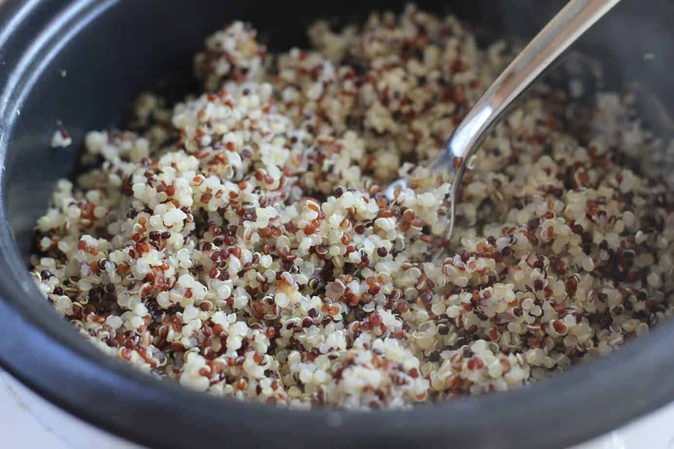 fluffy quinoa in a rice cooker