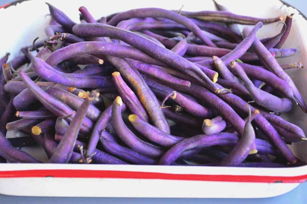 easy purple beans recipe