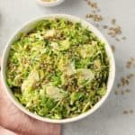 A bowl of shredded Brussels sprout salad