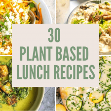 plant-based lunch recipes