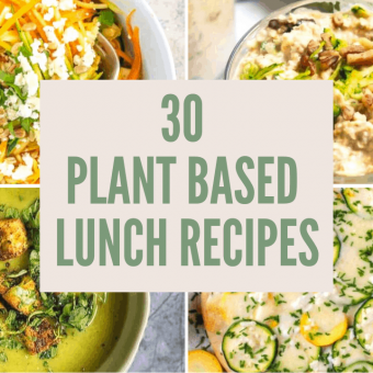 30 Plant Based Lunch Ideas
