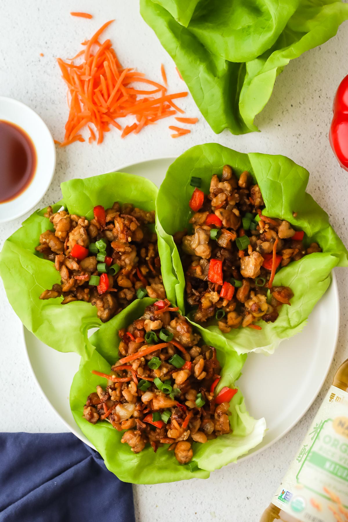 Tempeh Air Fryer Hoisin Egg Rolls