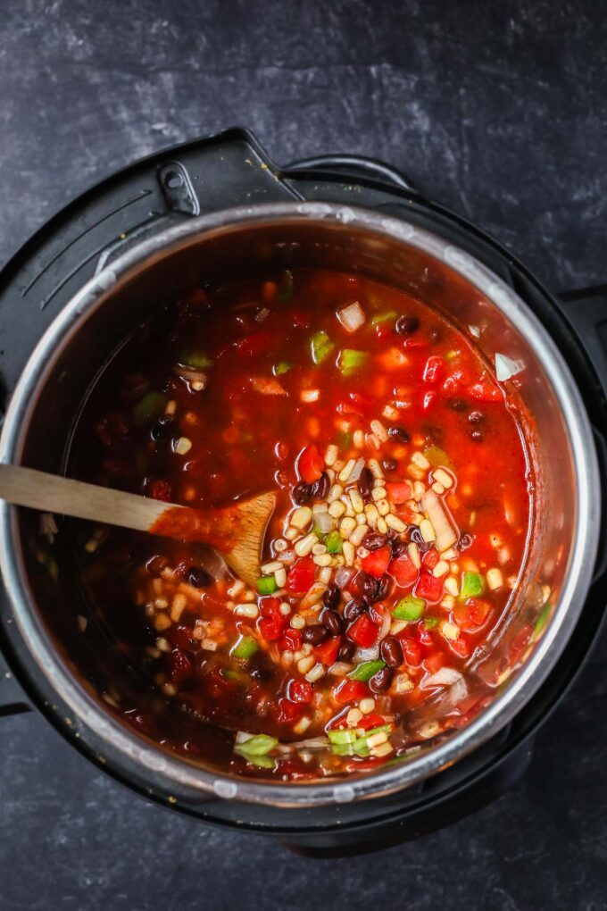 Instant Pot Enchilada Soup