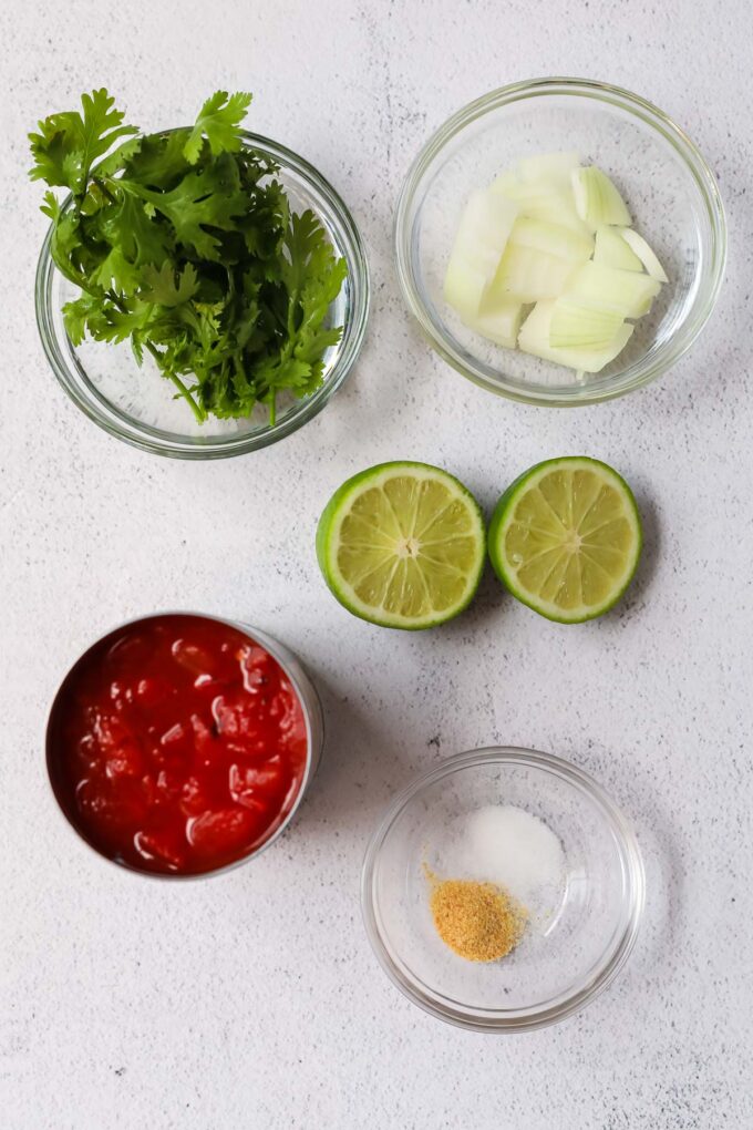 Blender Salsa ingredients
