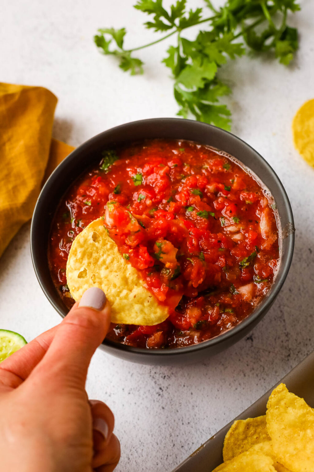 Easy Blender Salsa - I Heart Vegetables