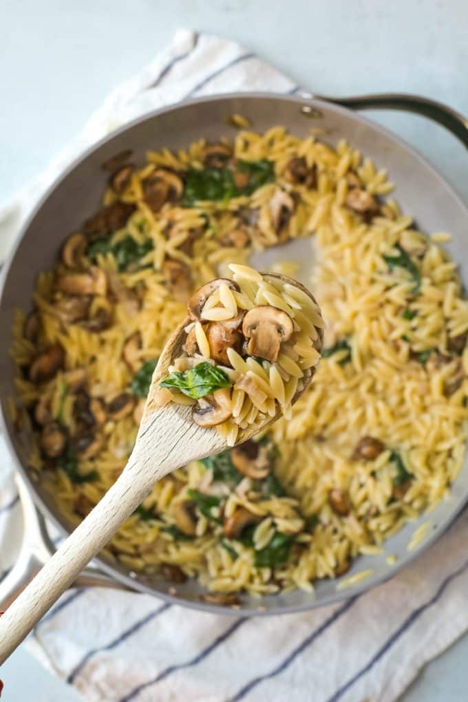 Mushroom Orzo