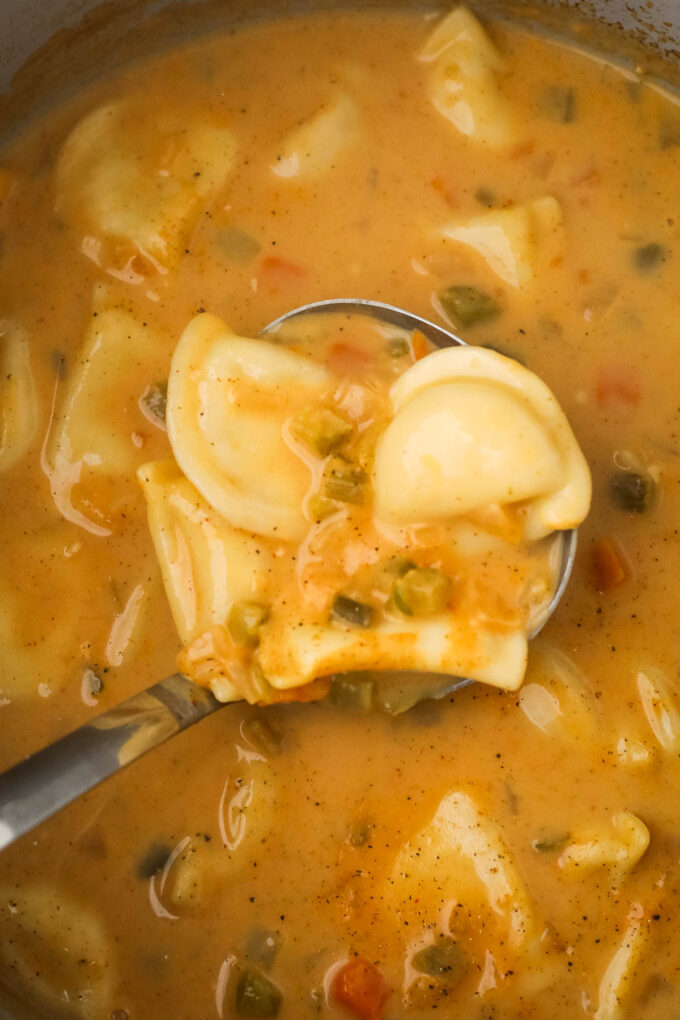 Pierogi Soup