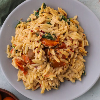 Orzo Pasta Recipes