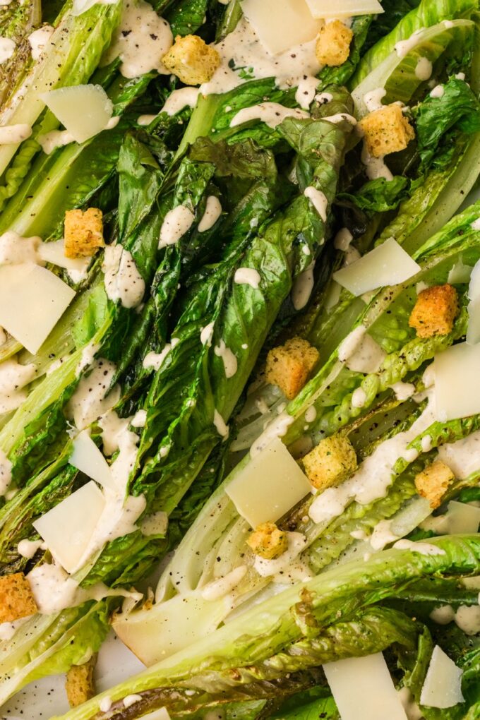 grilled romaine caesar